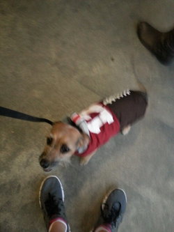 Furry-Friend-4-(1).png Furry-Friend-4-(1).png