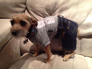 Furry-Friend-2-(1).png Furry-Friend-2-(1).png