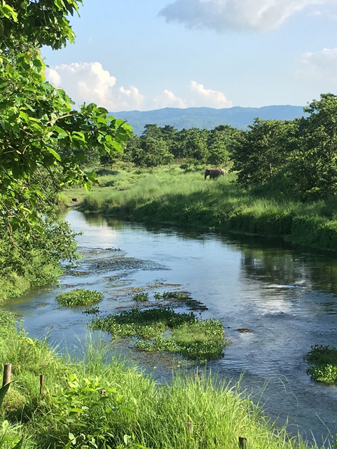 Chitwan-National-Park-(1).png