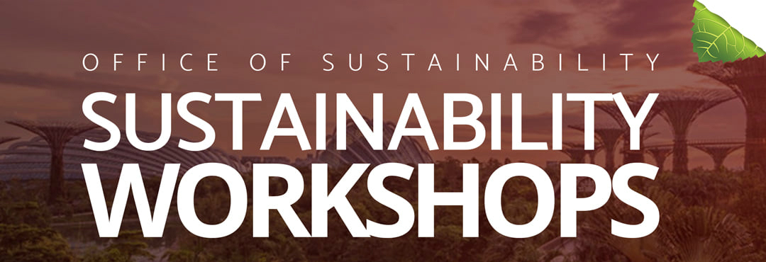 Sustainability Workshops teaser image