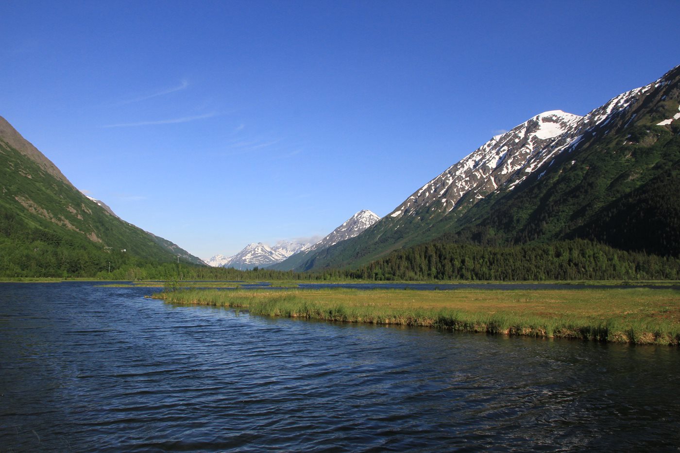 Alaska: Birds, People, and Science teaser image