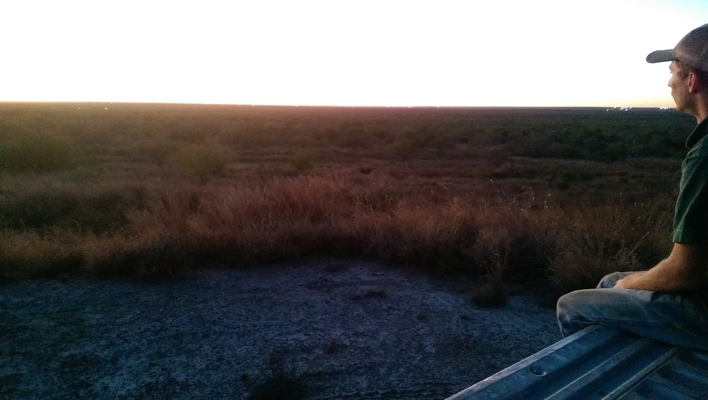 South Texas Skies teaser image