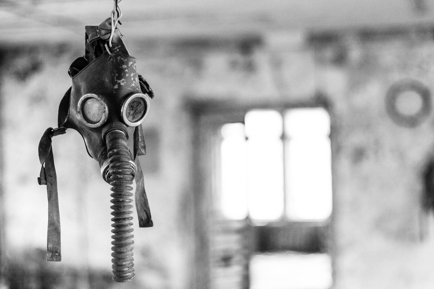 Life Finds Its Way on Chernobyl teaser image