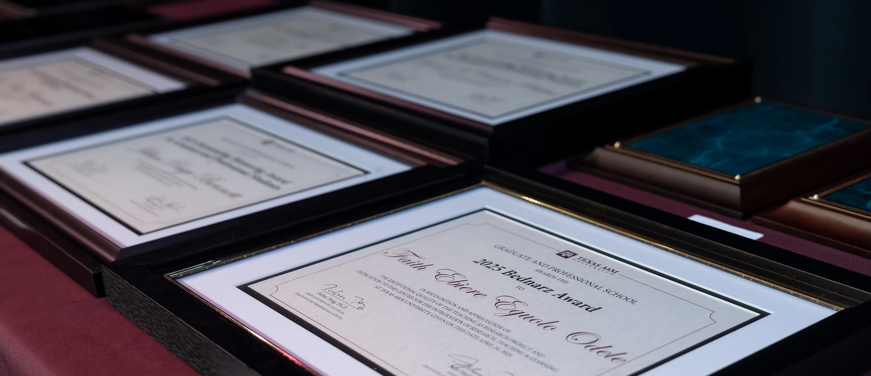 Graduate and Professional School Celebrates Excellence and Achievement at 2025 Spring Awards Ceremony teaser image